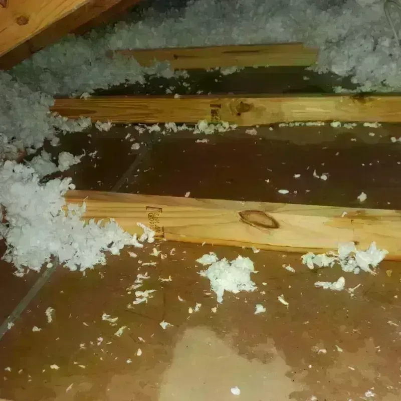 Attic Water Damage in Iron River, MI