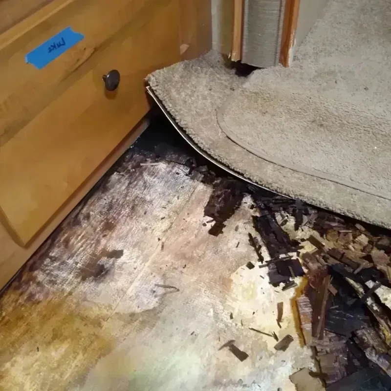 Best Wood Floor Water Damage Service in Iron River, MI